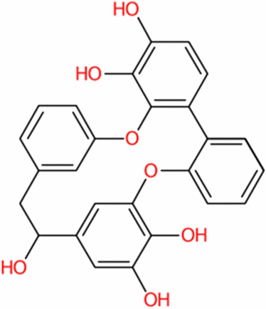 graphic file with name 13321_2023_695_Figv_HTML.gif