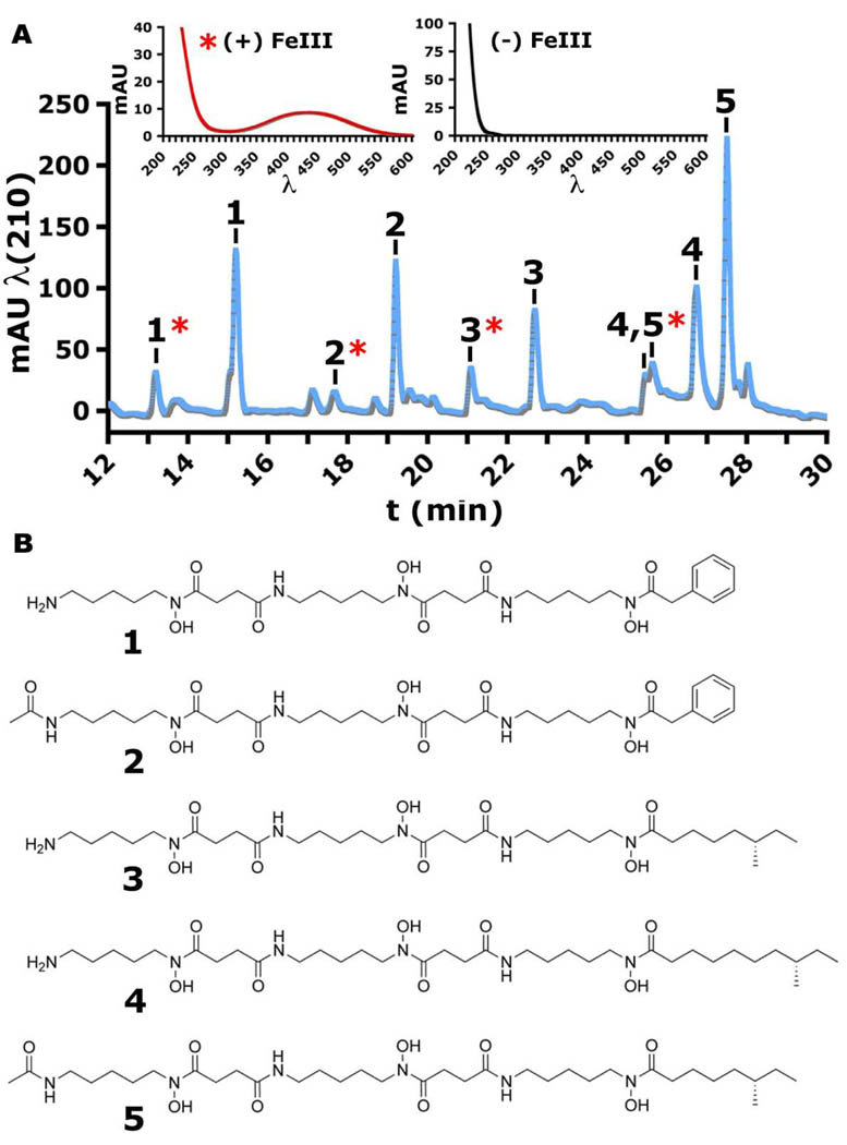 Fig. 4