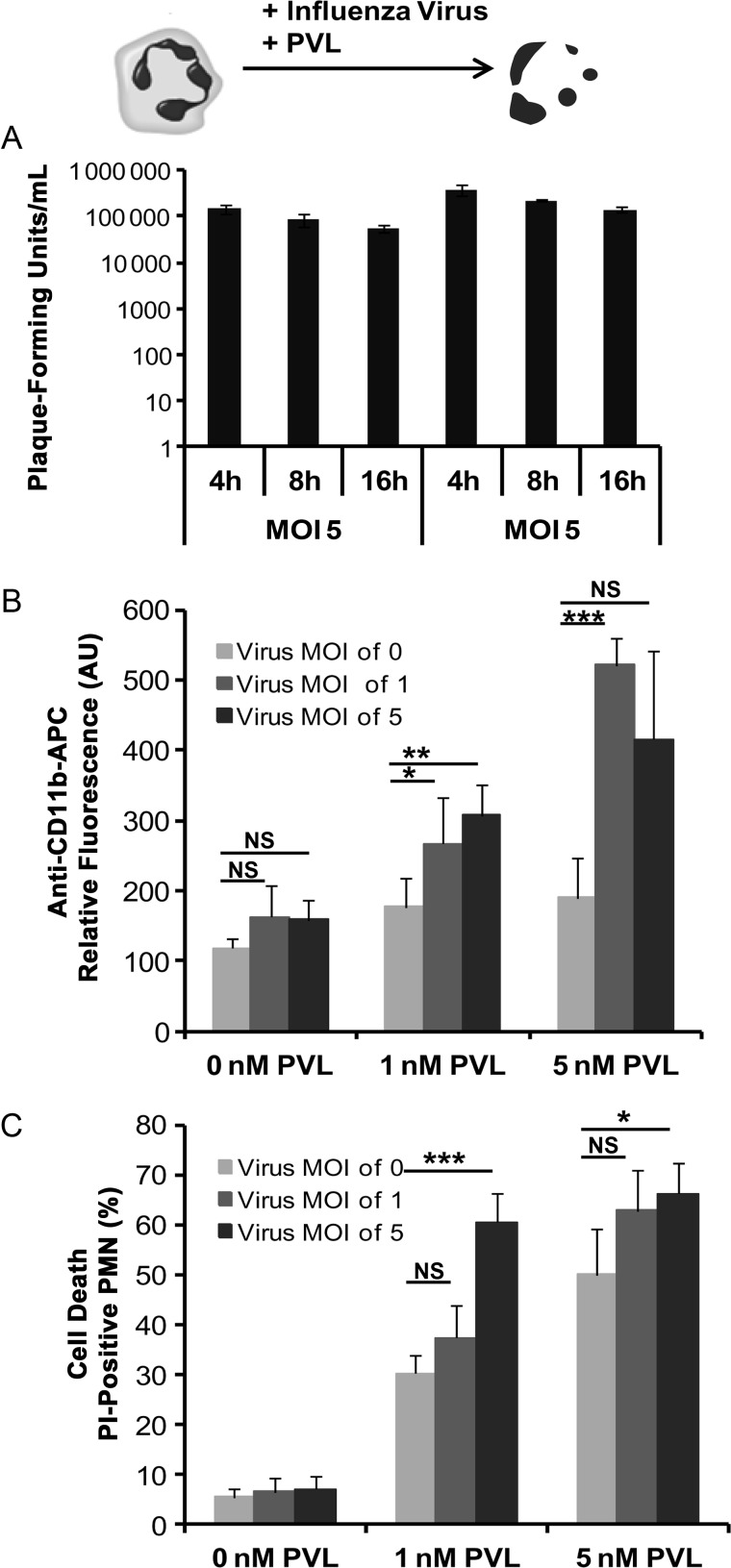 Figure 1.