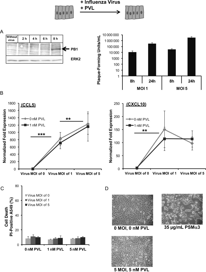 Figure 2.