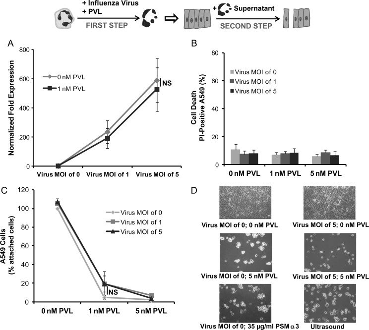 Figure 3.