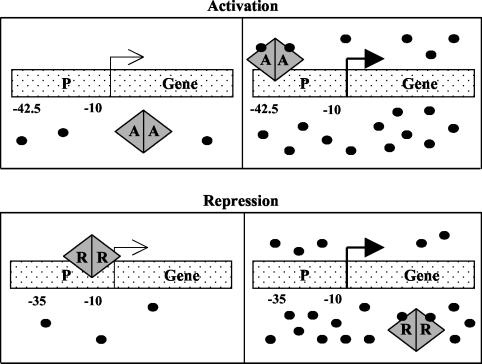 FIG. 1.