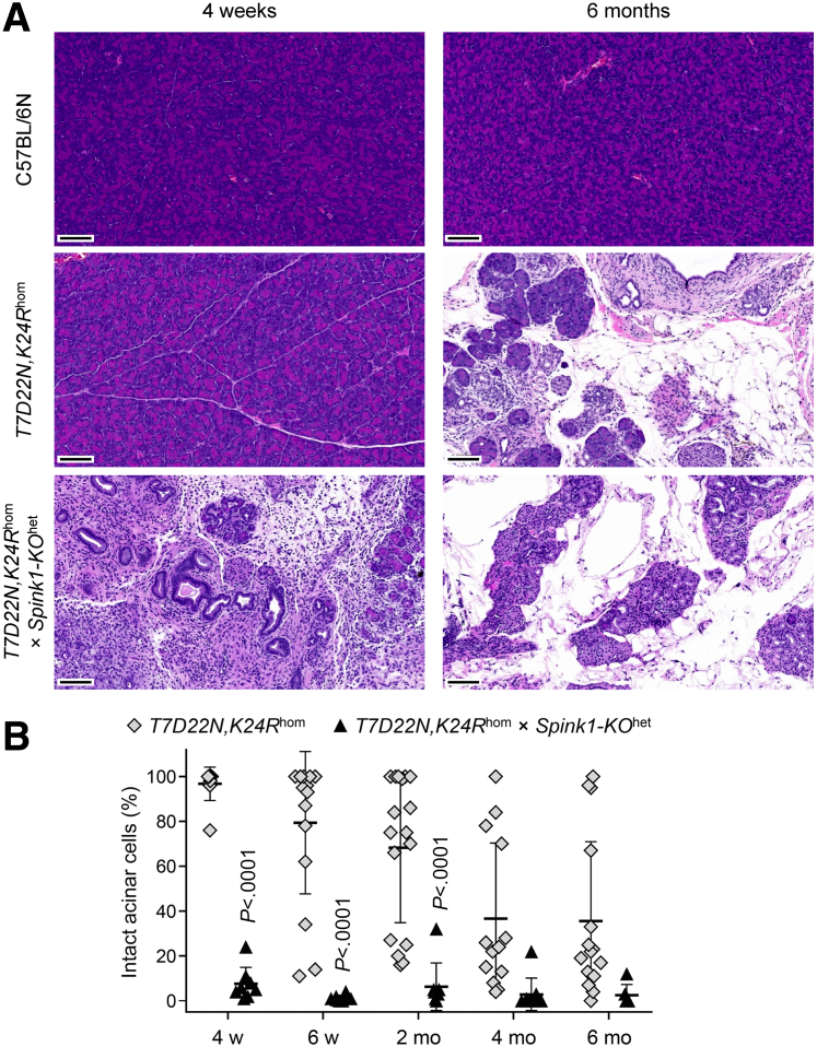 Figure 11