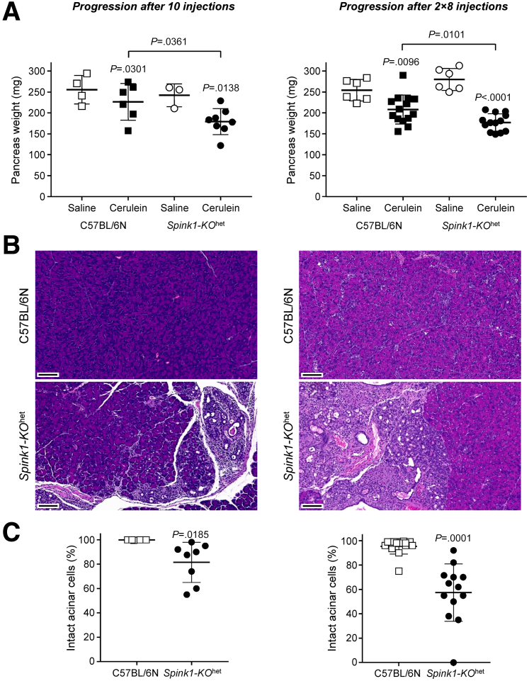 Figure 6