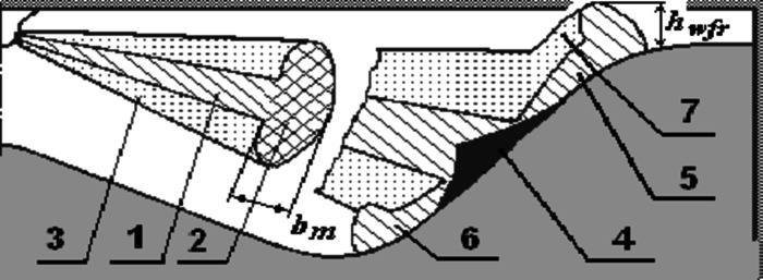 Fig. 6