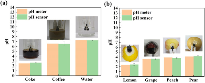 Fig. 12