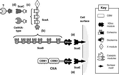 FIG. 7.