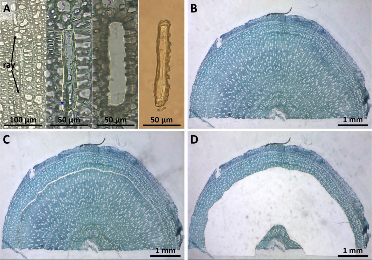 Figure 2.