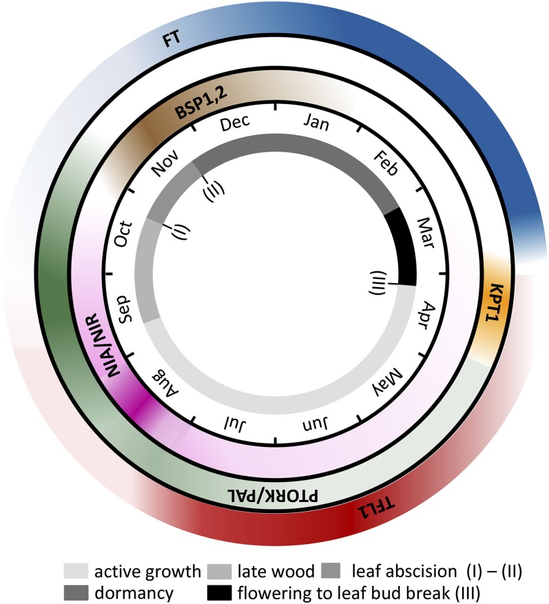 Figure 6.