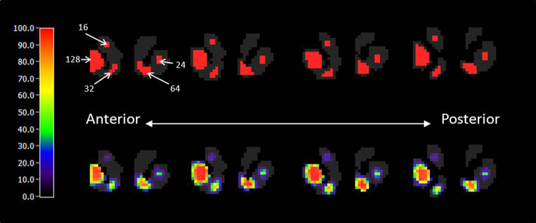 Figure 7