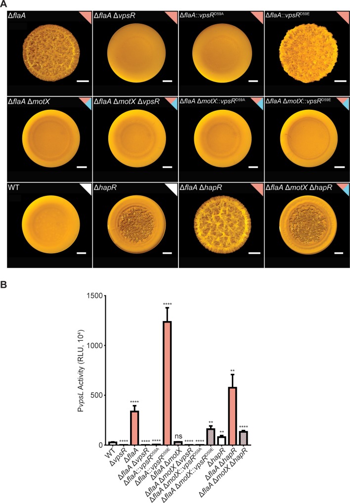 Fig 9