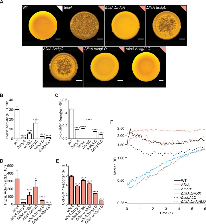 Fig 6