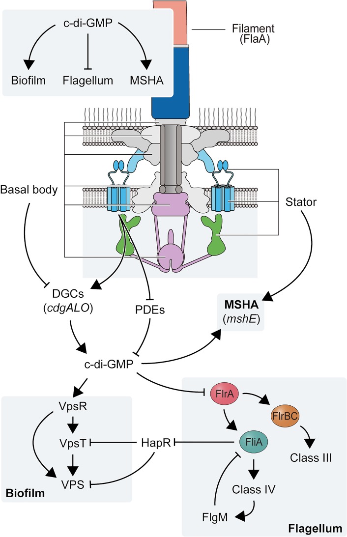 Fig 10