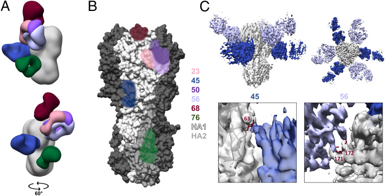 Fig. 3.