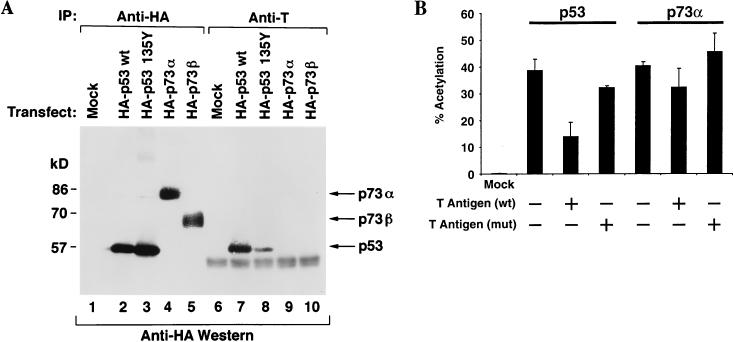 FIG. 8