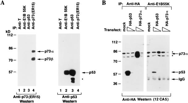 FIG. 6