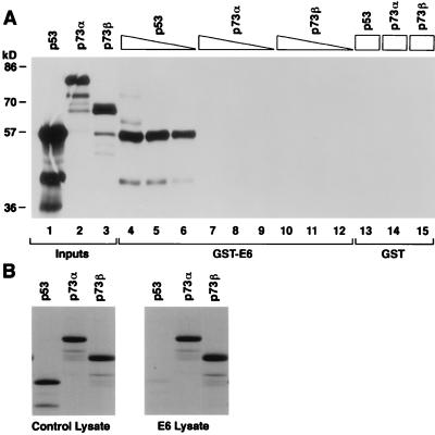 FIG. 7