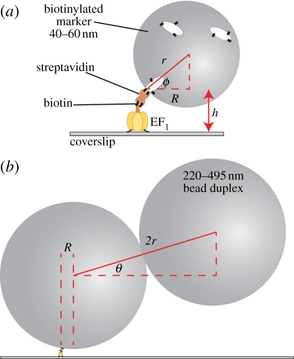 Figure 1.