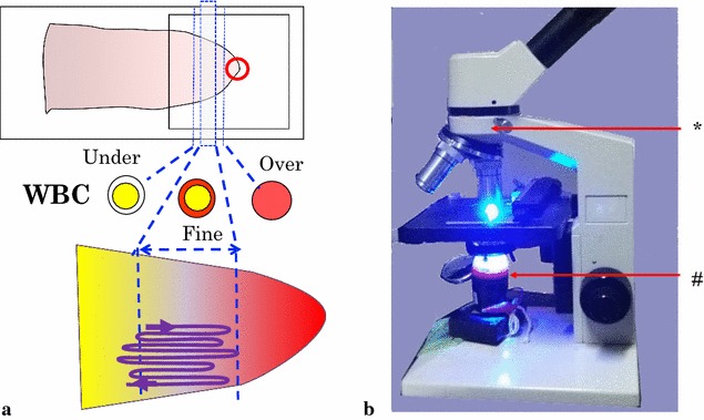 Fig. 1