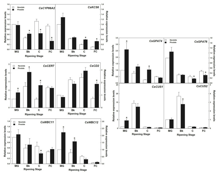 Figure 6