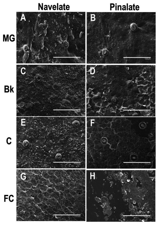 Figure 5