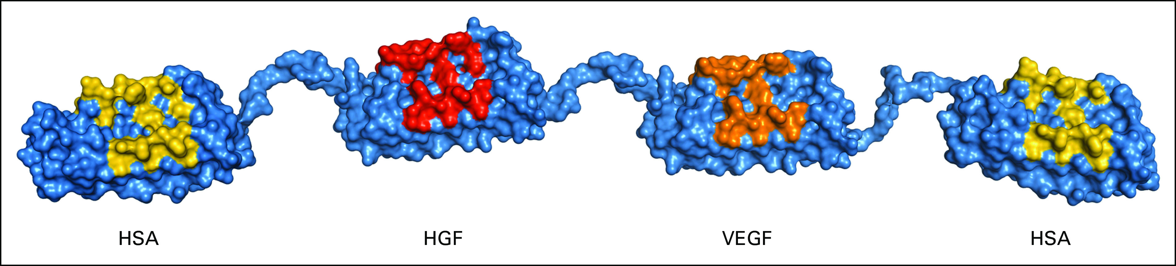 FIG 1.