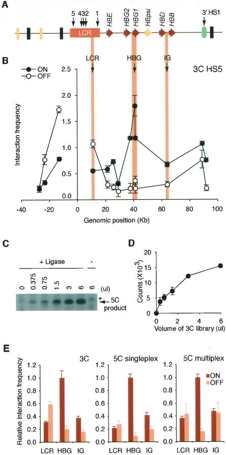 Figure 2.