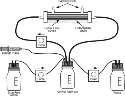 FIG. 1.