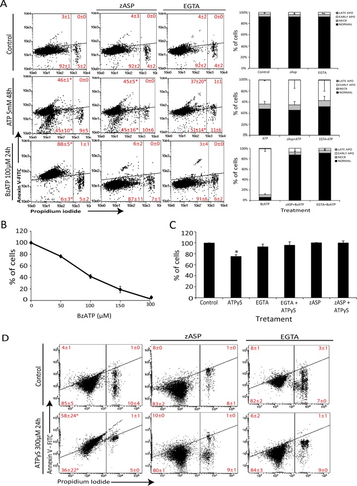 FIGURE 3: