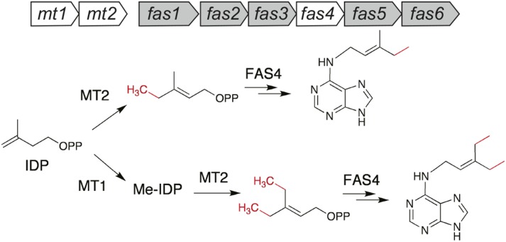 Figure 7.