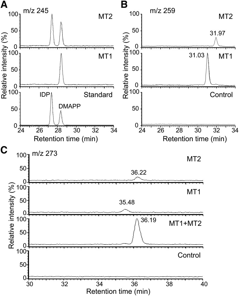 Figure 6.