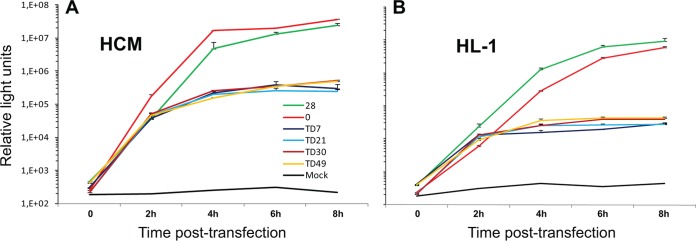 FIG 2