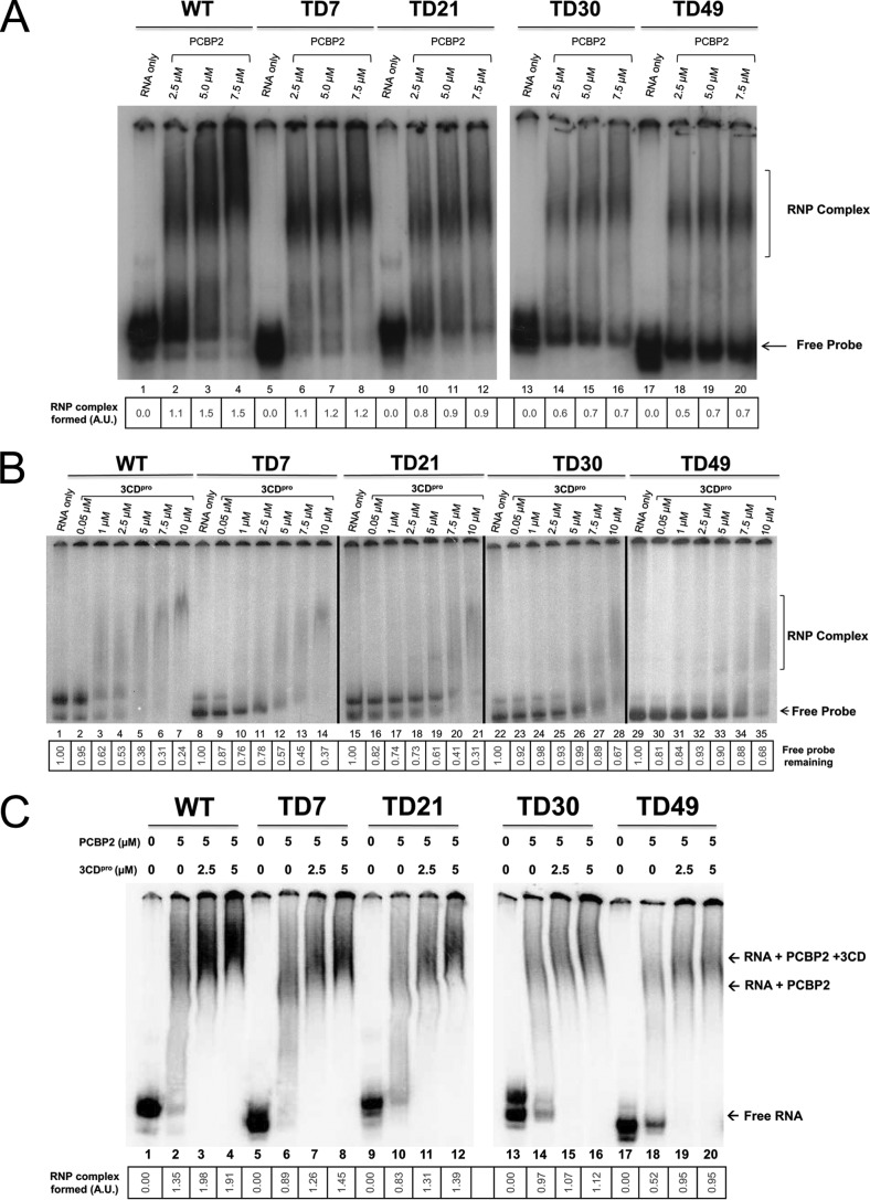 FIG 7