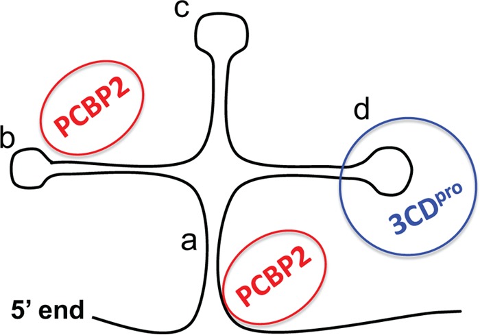 FIG 6