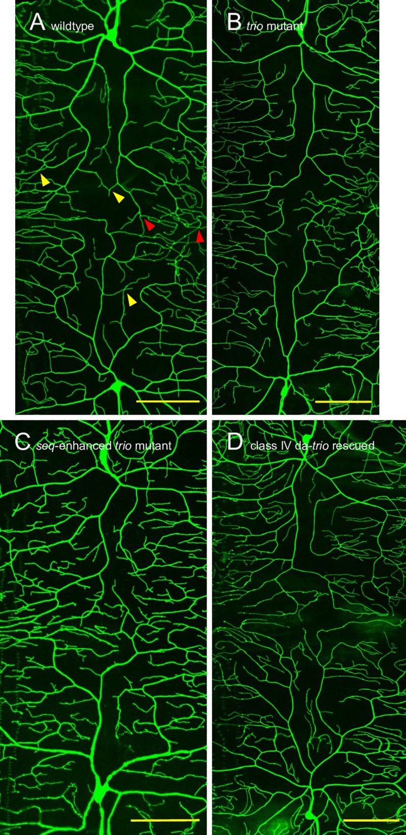 Fig 2