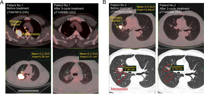 Fig. 7