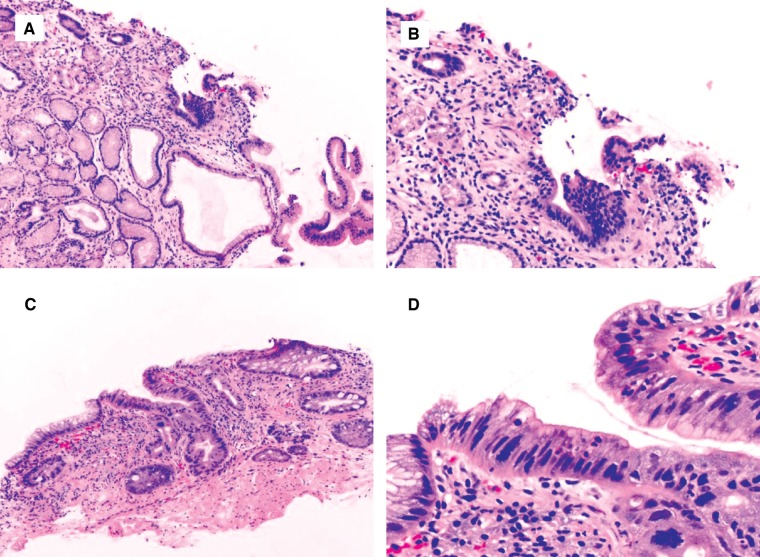 Figure 7.