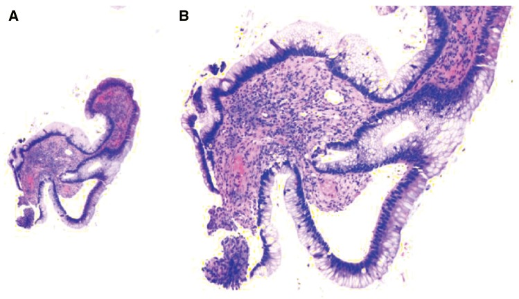 Figure 6.