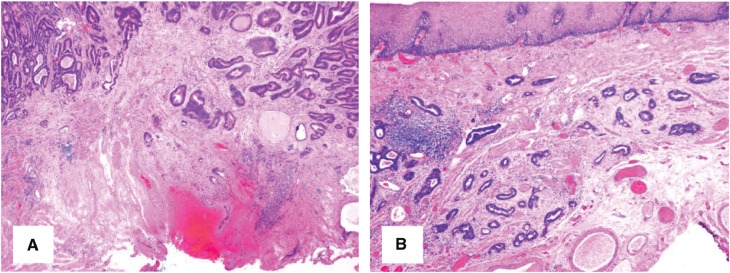 Figure 12.