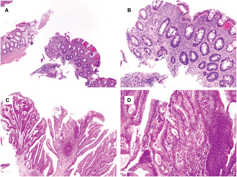 Figure 4.