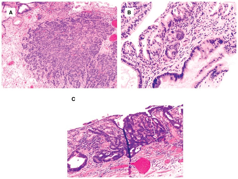 Figure 9.