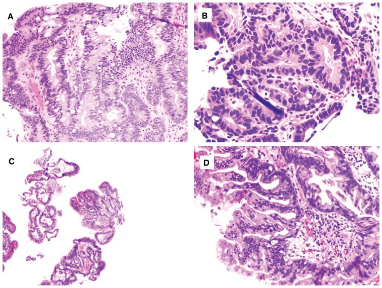 Figure 5.