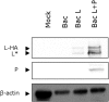 FIG 1