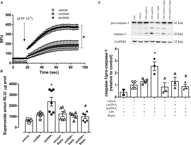 FIGURE 6