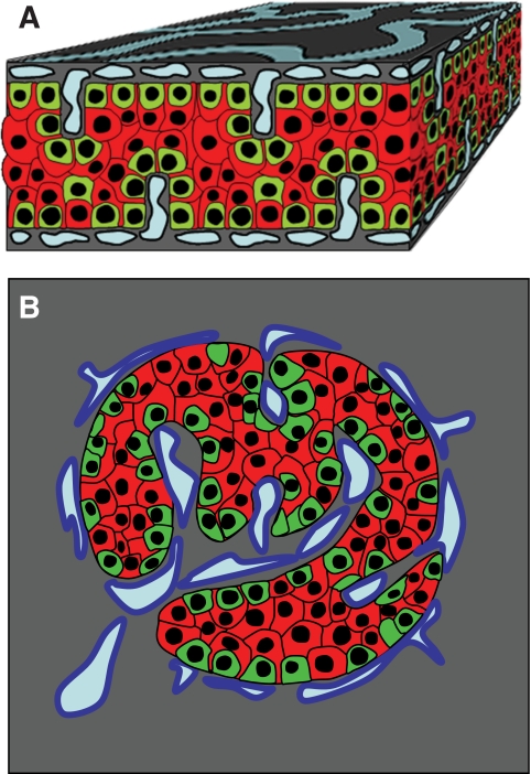 FIG. 7.