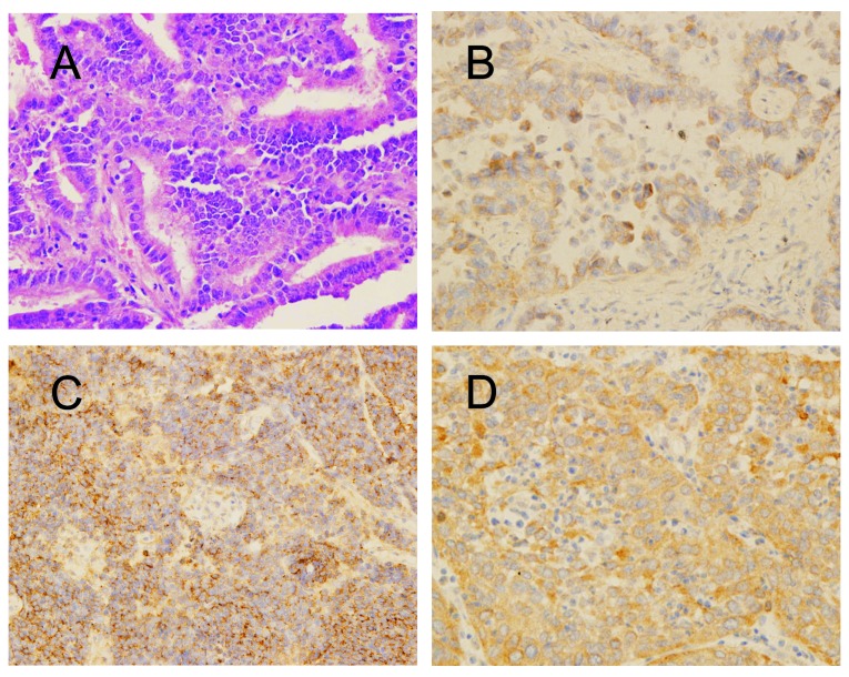 Figure 4.