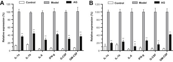 Fig. 6