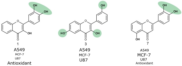 Figure 7