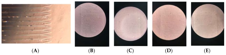 Figure 12