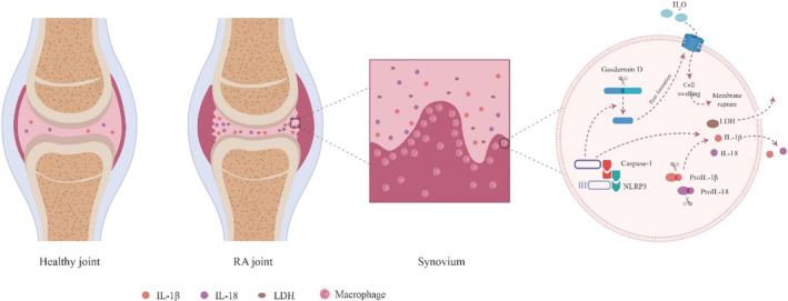 FIGURE 5